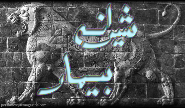 persian-lion